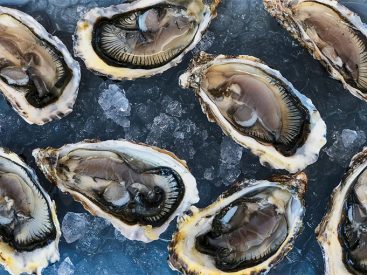 Are Oysters Vegan